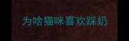 为啥猫咪喜欢踩奶