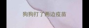 狗狗打了两边疫苗