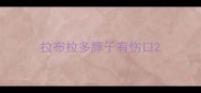 拉布拉多脖子有伤口
