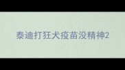 泰迪打狂犬疫苗没精神