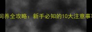 拉布拉多幼犬饲养全攻略新手必知的10大注意事项与养护要点