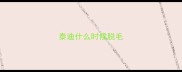 泰迪什么时候脱毛