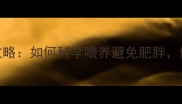 拉布拉多犬饮食全攻略如何科学喂养避免肥胖健康寿命延长5年