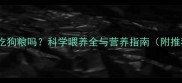 哈士奇能吃狗粮吗科学喂养全与营养指南附推荐品牌