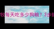 幼犬期必看边牧每天吃多少狗粮3步搞定喂养指南