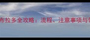 最新免费领养拉布拉多全攻略流程注意事项与领养后的养护指南