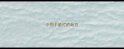 小狗不能打的地方
