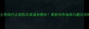 哈士奇国内正规购买渠道有哪些最新饲养指南与避坑攻略