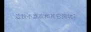 边牧不喜欢和其它狗玩