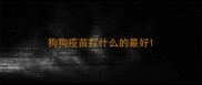 狗狗疫苗打什么的最好