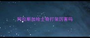 阿拉斯加哈士奇打架厉害吗
