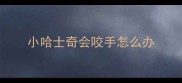 小哈士奇会咬手怎么办