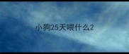 小狗25天喂什么