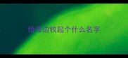 给母边牧起个什么名字