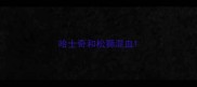 哈士奇和松狮混血
