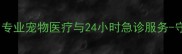 北京乐宠宠物医院专业宠物医疗与24小时急诊服务-守护毛孩子健康首选