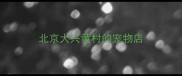 北京大兴黄村的宠物店