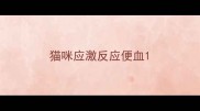 猫咪应激反应便血