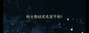哈士奇幼犬毛发干枯
