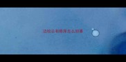 边牧总有眼屎怎么回事