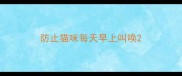 防止猫咪每天早上叫唤