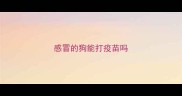 感冒的狗能打疫苗吗