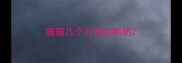 猫猫几个月可以断奶