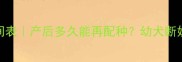 母犬哺乳期发情时间表产后多久能再配种幼犬断奶后发情护理全攻略