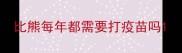 比熊每年都需要打疫苗吗