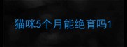 猫咪5个月能绝育吗