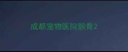 成都宠物医院髌骨