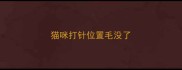猫咪打针位置毛没了