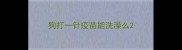 狗打一针疫苗能洗澡么