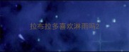 拉布拉多喜欢淋雨吗