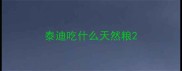 泰迪吃什么天然粮