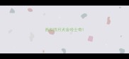 西安四月犬舍哈士奇
