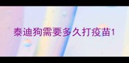 泰迪狗需要多久打疫苗