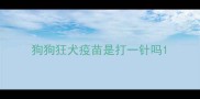狗狗狂犬疫苗是打一针吗
