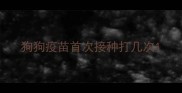 狗狗疫苗首次接种打几次