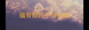 猫骨骼几个月长成