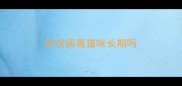 杯状病毒猫咪长期吗