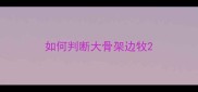 如何判断大骨架边牧