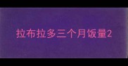 拉布拉多三个月饭量