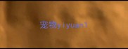 宠物yiyuan