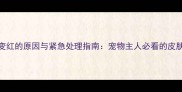 哈士奇鼻头变红的原因与紧急处理指南宠物主人必看的皮肤护理全攻略