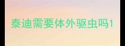 泰迪需要体外驱虫吗