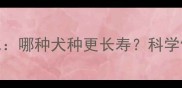 拉布拉多VS金毛寿命对比哪种犬种更长寿科学饲养指南附养护秘籍