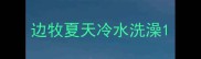 边牧夏天冷水洗澡