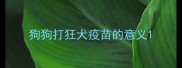 狗狗打狂犬疫苗的意义