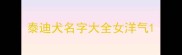 泰迪犬名字大全女洋气